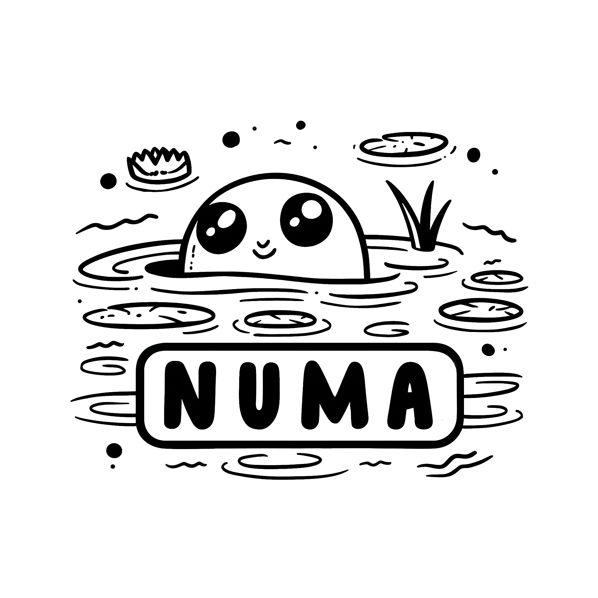 NUMA